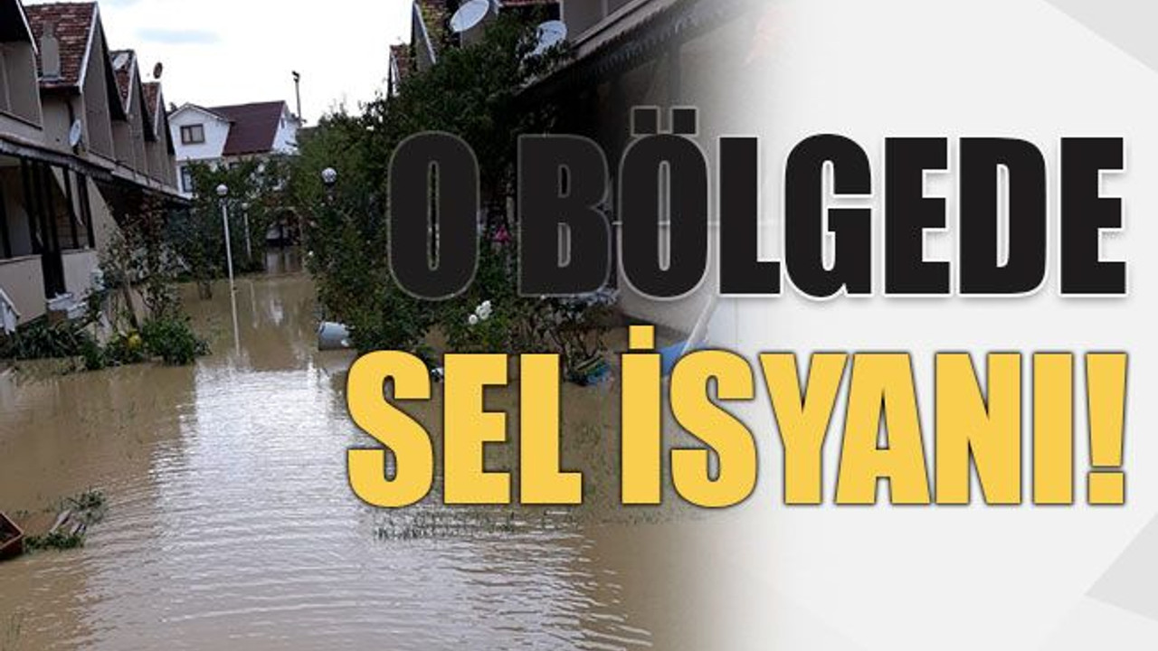 O bölgede sel isyanı!