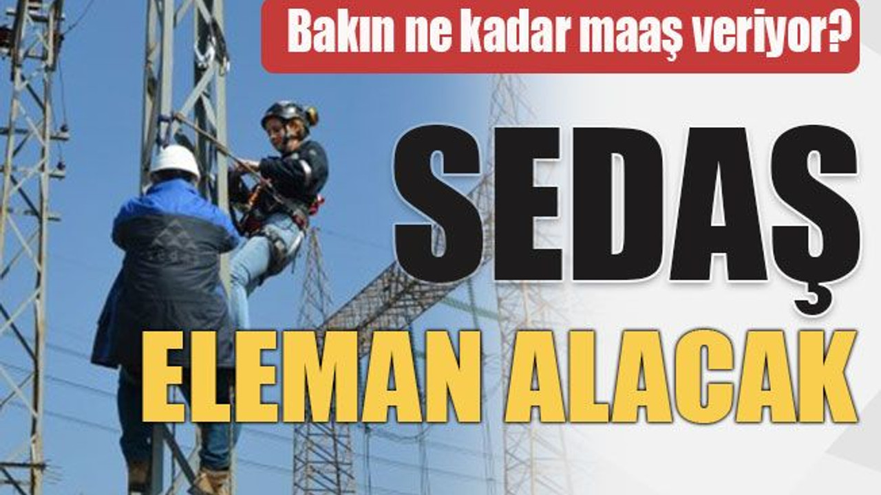 Bakın ne kadar maaş veriyor? SEDAŞ eleman alacak!