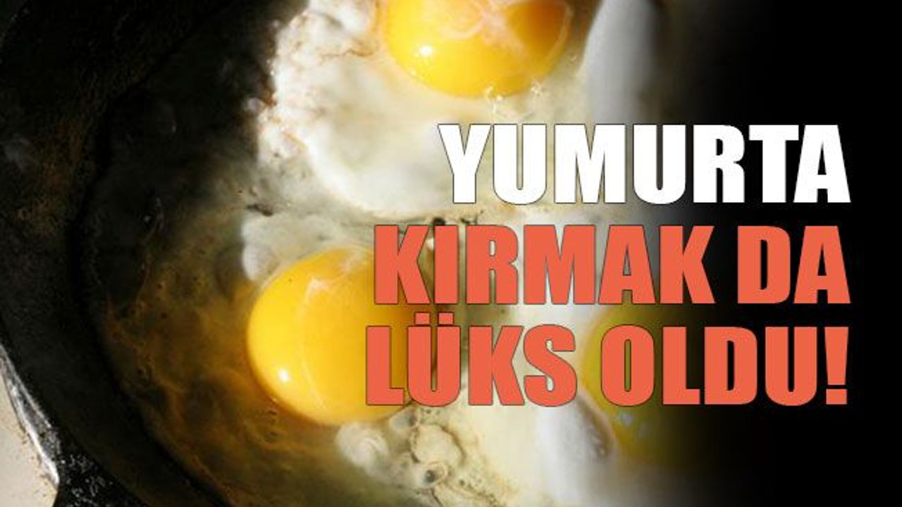 Yumurta kırmak da lüks oldu!