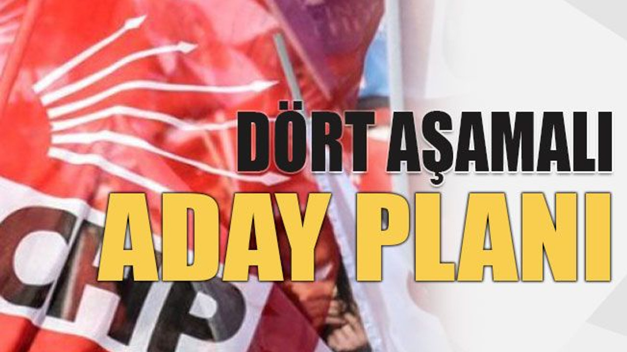 Dört aşamalı aday planı