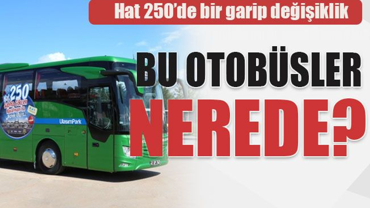 Hat 250’de bir garip değişiklik Bu otobüsler nerede..?
