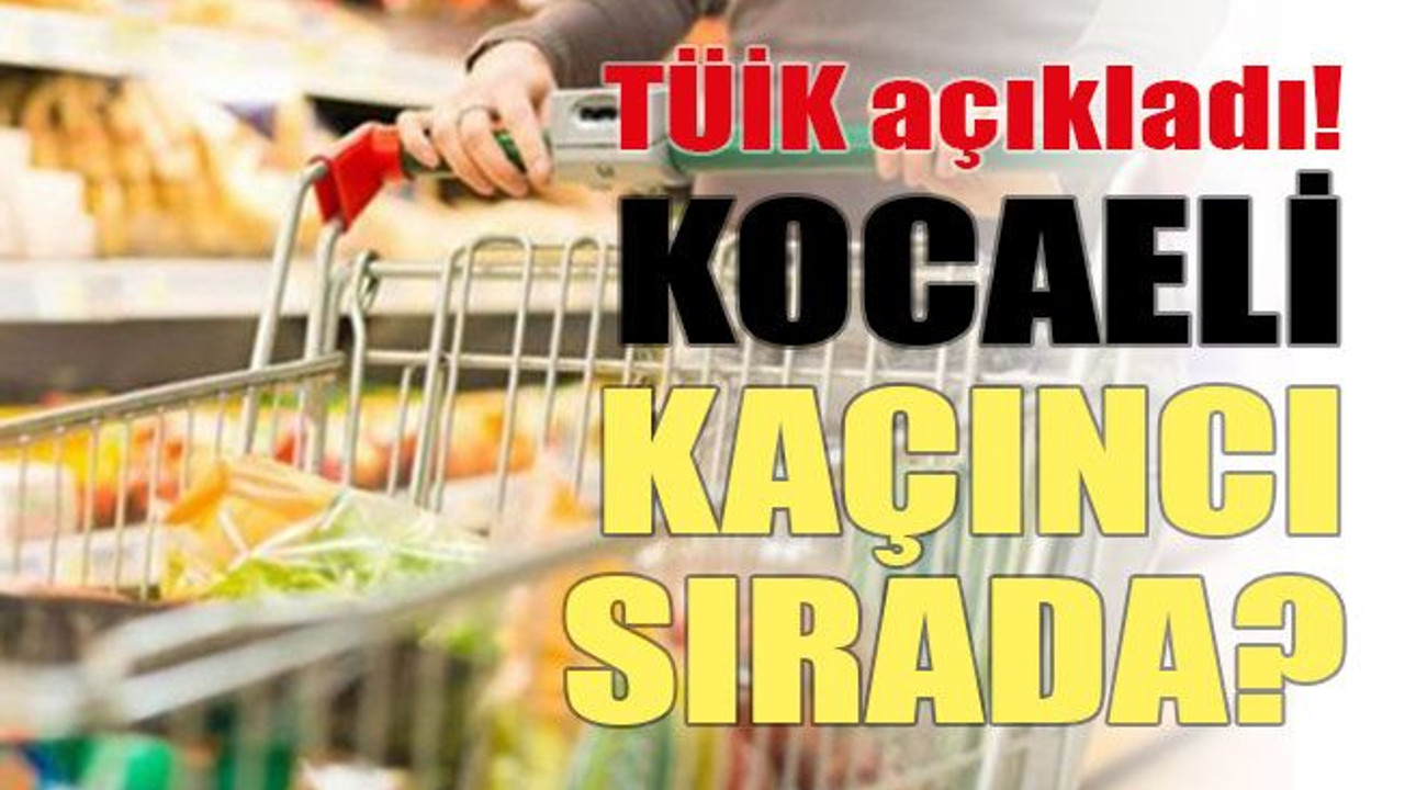 TÜİK açıkladı! Kocaeli kaçıncı sırada?