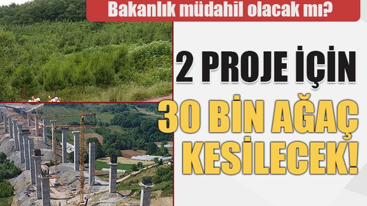 Bakanlık müdahil olacak mı? 2 proje için 30 bin ağaç kesilecek!
