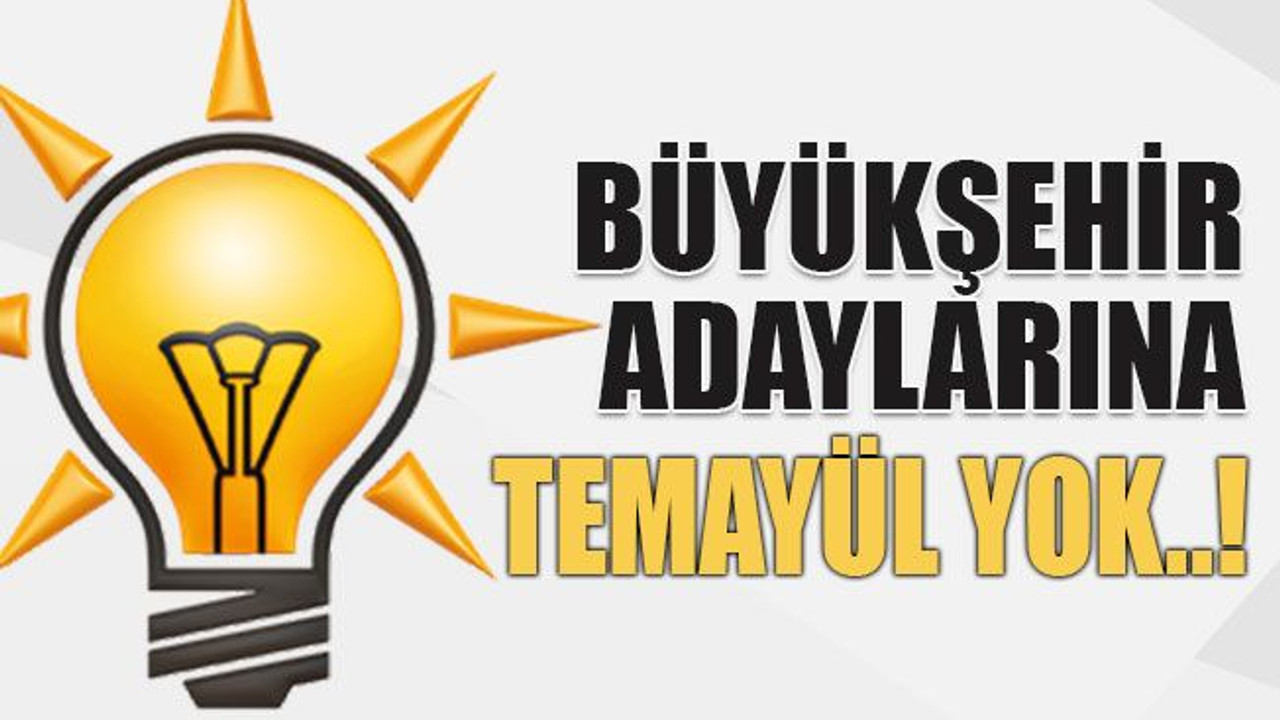 Büyükşehir adaylarına temayül yok..!