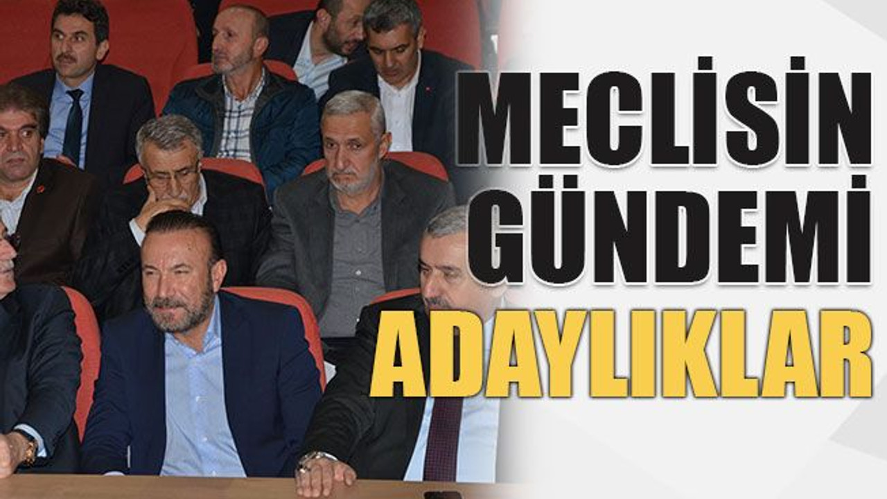 Meclisin gündemi adaylıklar