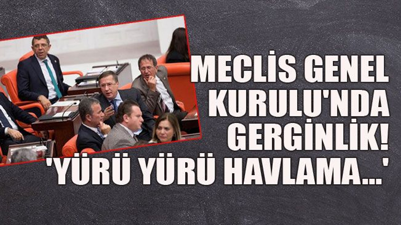 Meclis Genel Kurulu'nda gerginlik! 'Yürü yürü havlama...'