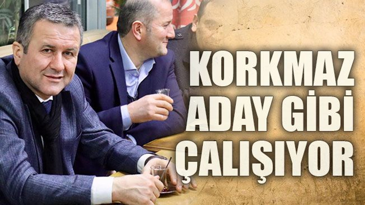 Korkmaz aday gibi çalışıyor