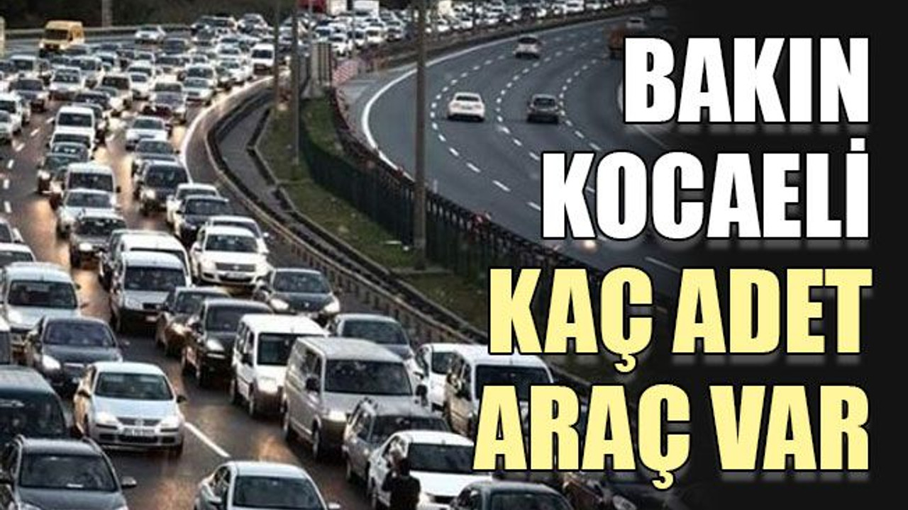 Bakın Kocaeli kaç adet araç var