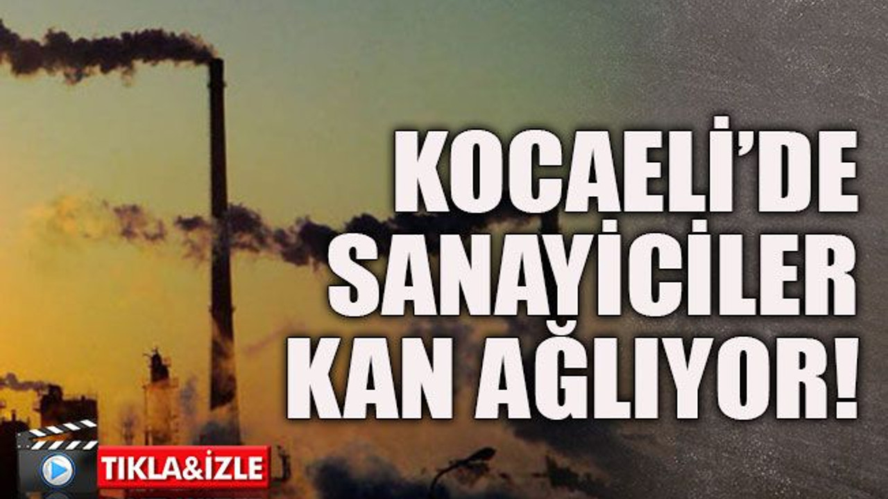 Kocaeli’de sanayiciler kan ağlıyor!