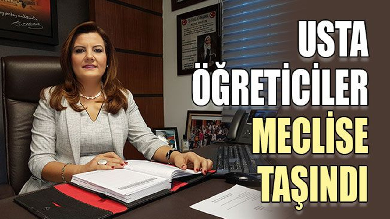 Usta öğreticiler meclise taşındı