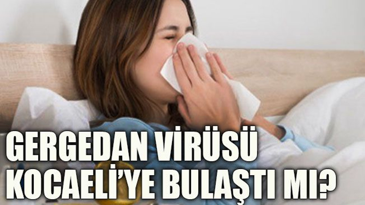 Gergedan virüsü Kocaeli’ye bulaştı mı?