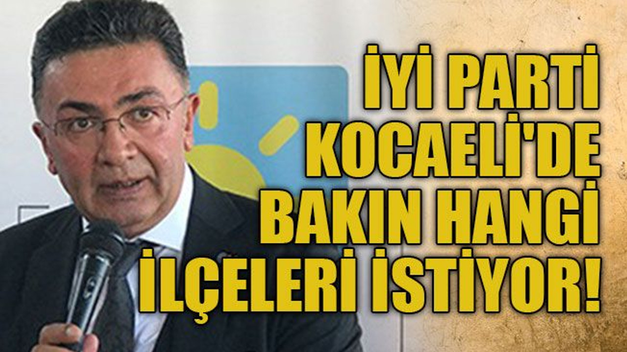 İyi Parti Kocaeli'de bakın hangi ilçeleri istiyor!