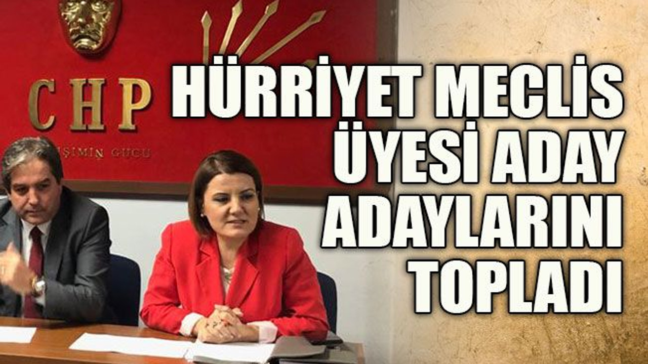 Hürriyet meclis üyesi aday adaylarını topladı