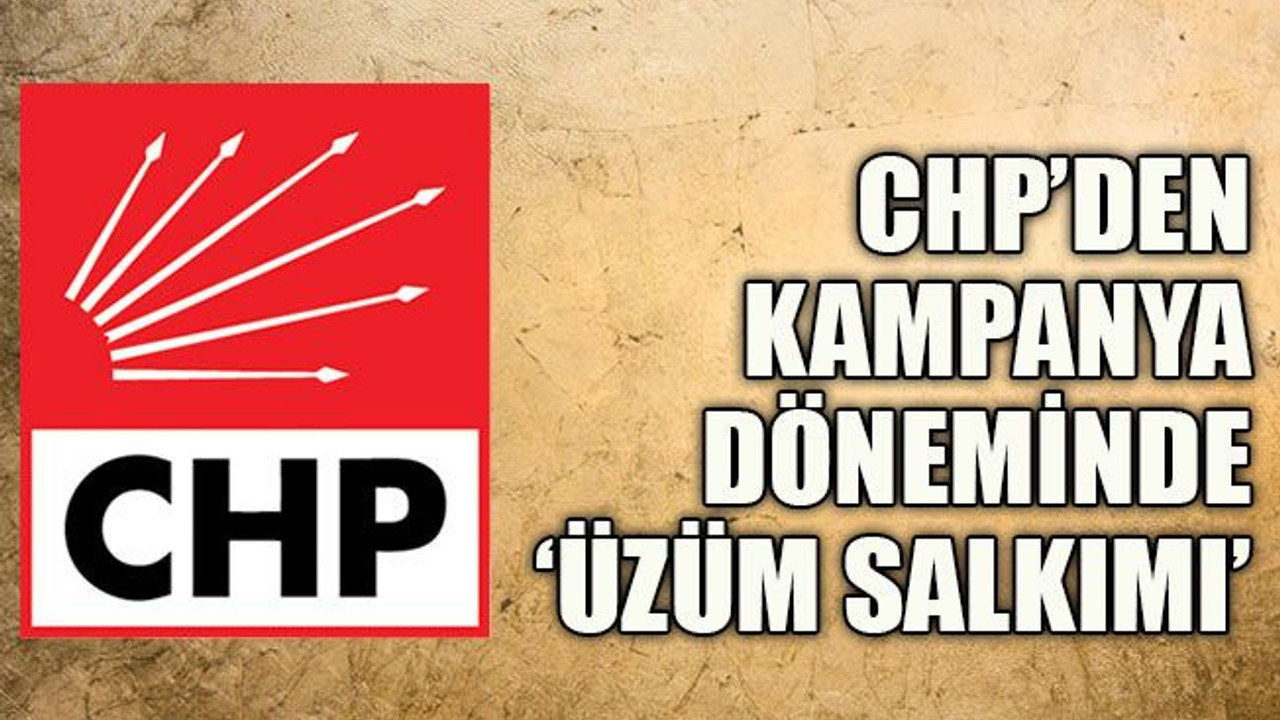 CHP’den kampanya döneminde ‘üzüm salkımı’