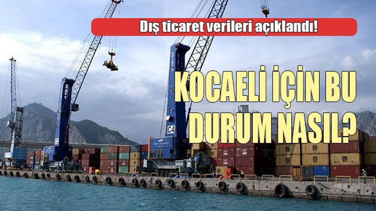 Dış ticaret verileri açıklandı! Kocaeli için bu durum nasıl?