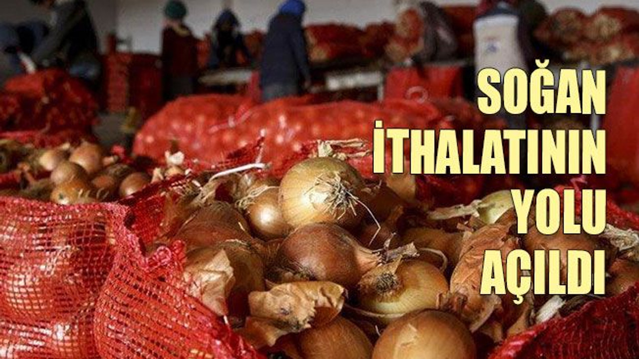 Soğan ithalatının yolu açıldı