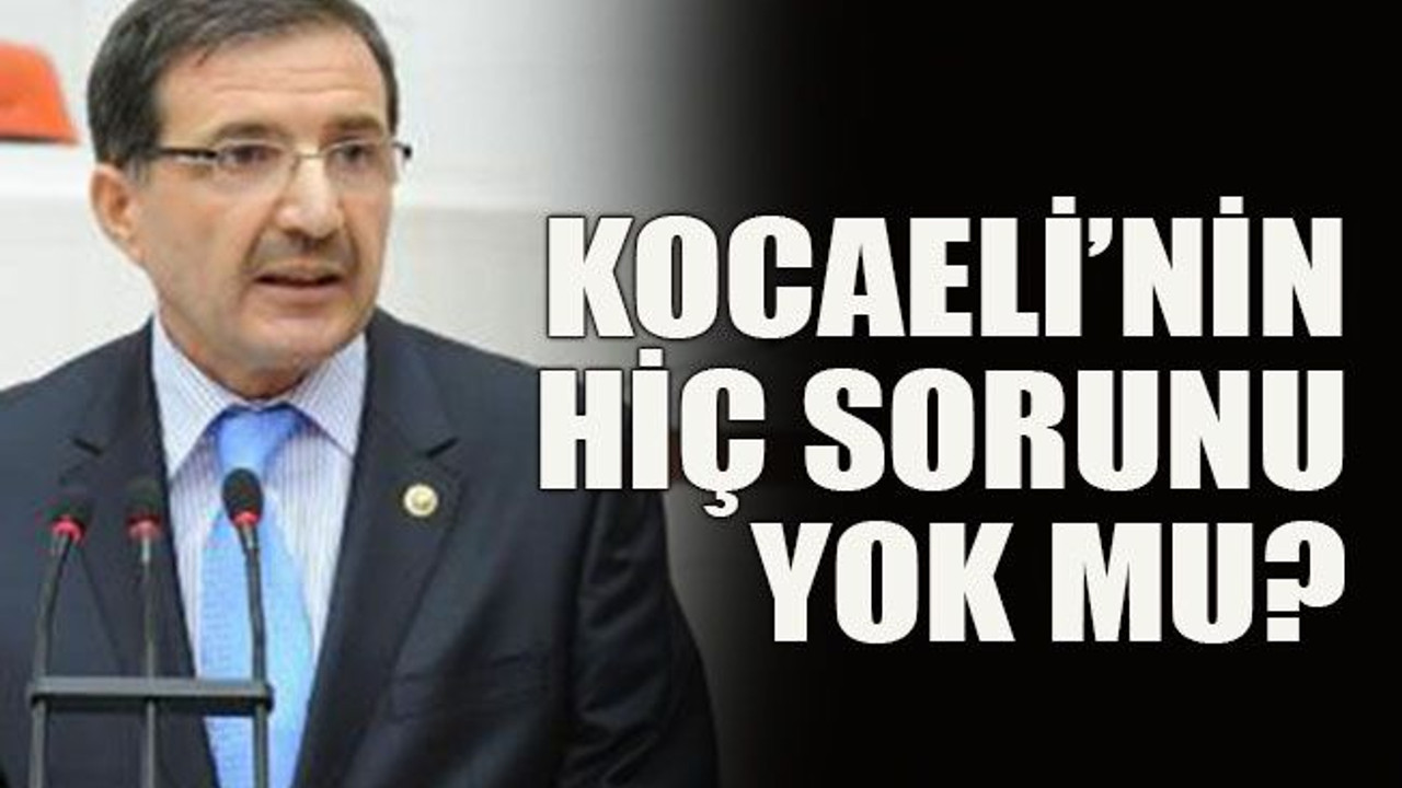 Kocaeli’nin hiç sorunu yok mu?