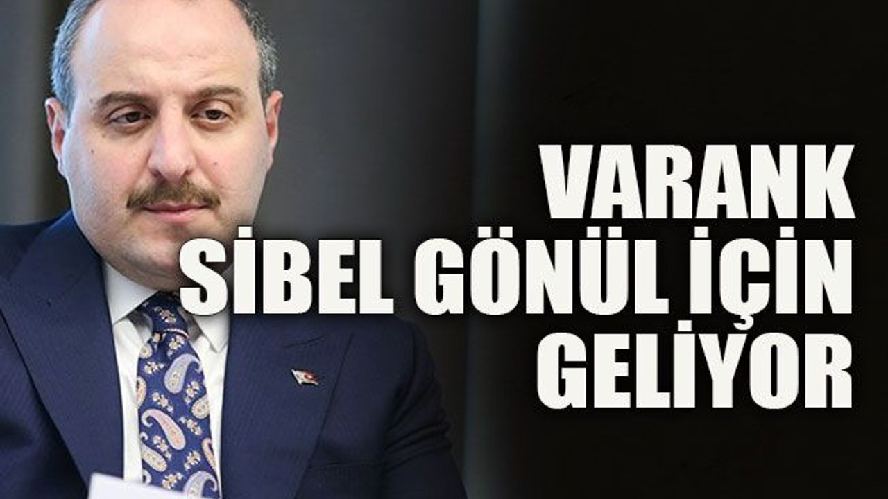 Varank Sibel Gönül için geliyor