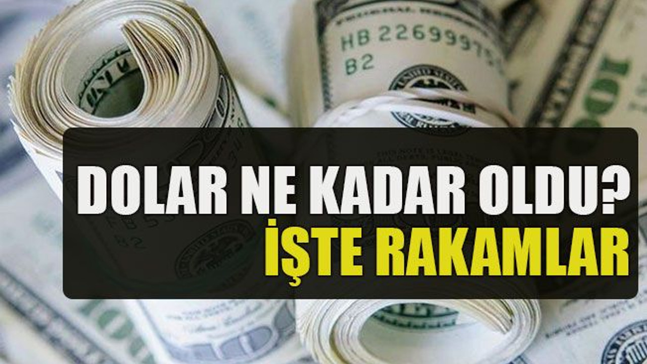 Dolar ne kadar oldu? İşte rakamlar