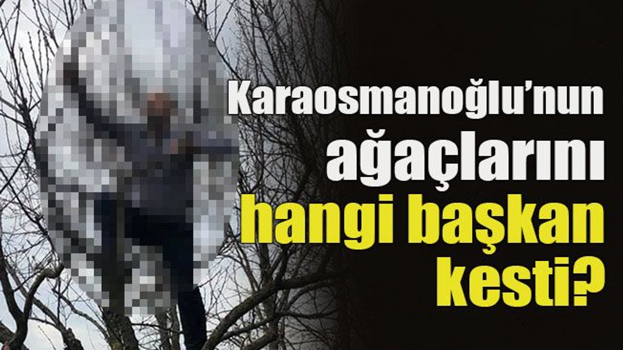 Karaosmanoğlu’nun ağaçlarını hangi başkan kesti?