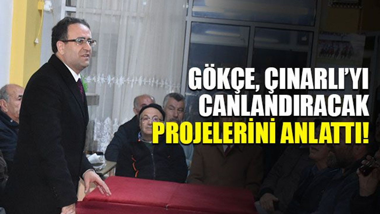 Gökçe, Derince Çınarlı'yı canlandıracak projeleri anlattı