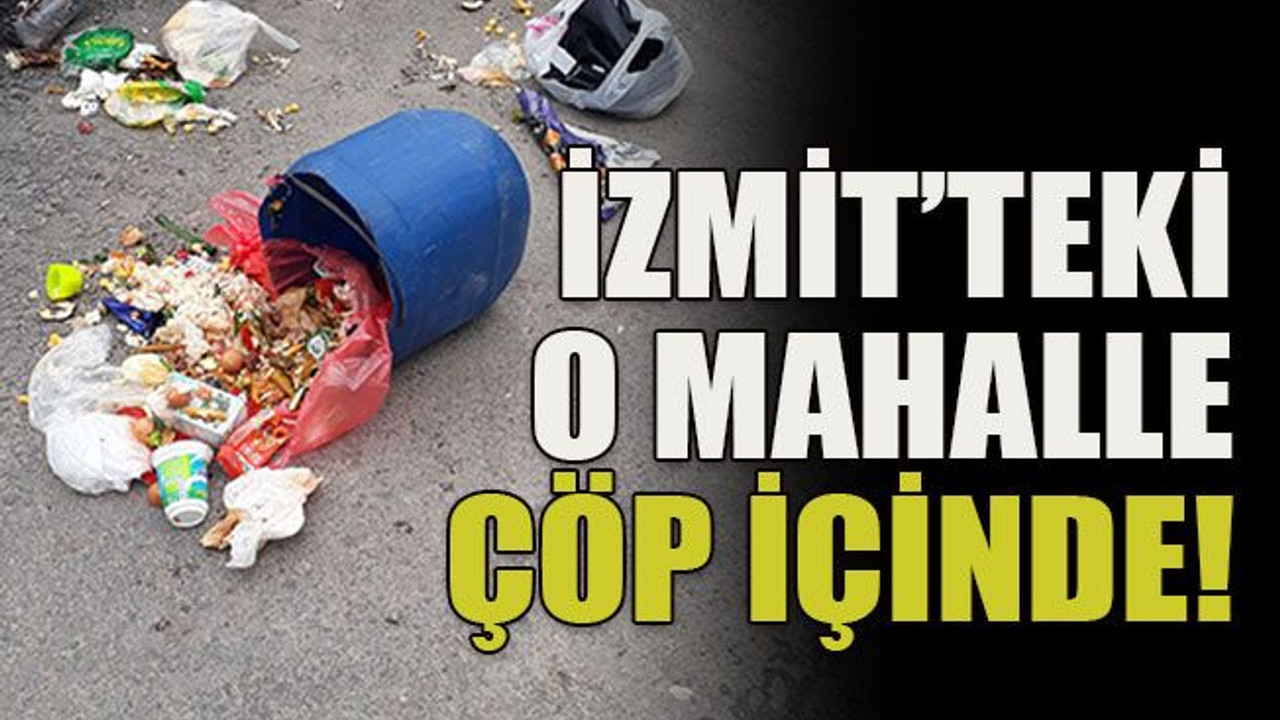 İzmit’teki o mahalle çöp içinde!