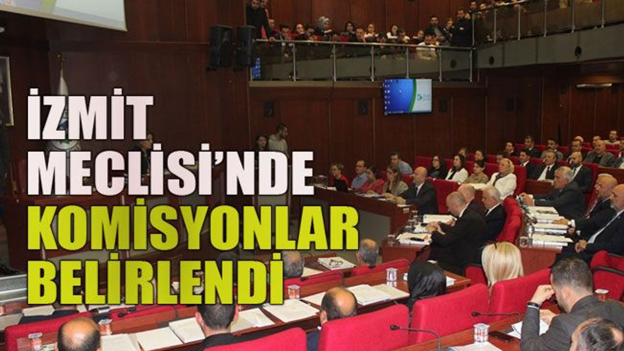 İzmit Meclisi’nde komisyonlar belirlendi
