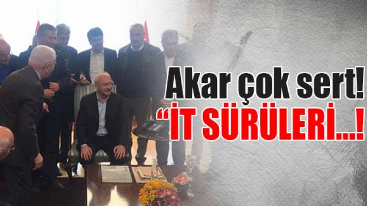 Akar çok sert!:“İT SÜRÜLERİ…!