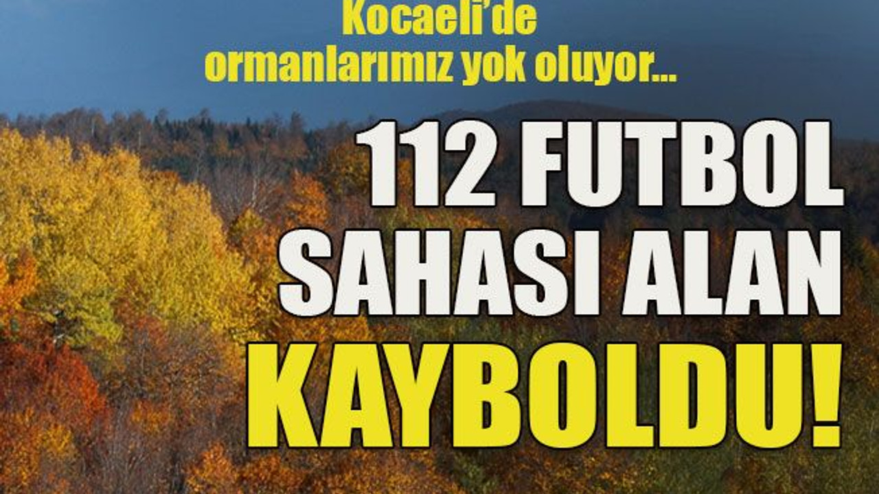 Kocaeli’de ormanlarımız yok oluyor… 112 futbol sahası alan kayboldu!