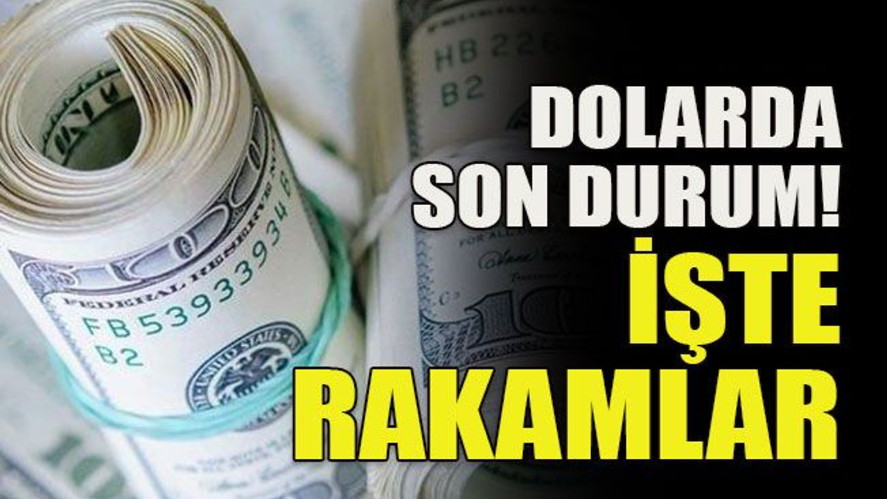 Dolarda son durum! İşte rakamlar