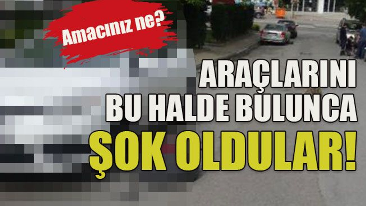 Amacınız ne? Araçlarını bu halde bulunca şok oldular!