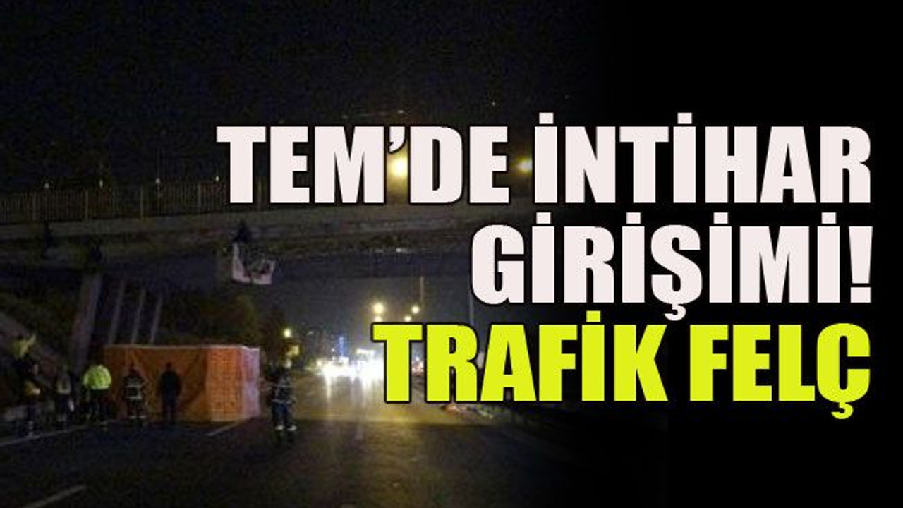 TEM’de intihar girişimi! Trafik felç
