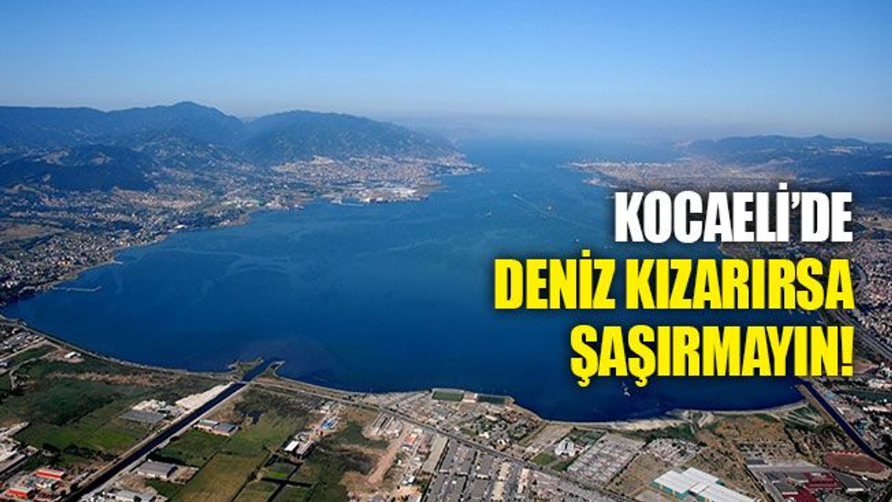 Kocaeli’de deniz kızarırsa şaşırmayın!