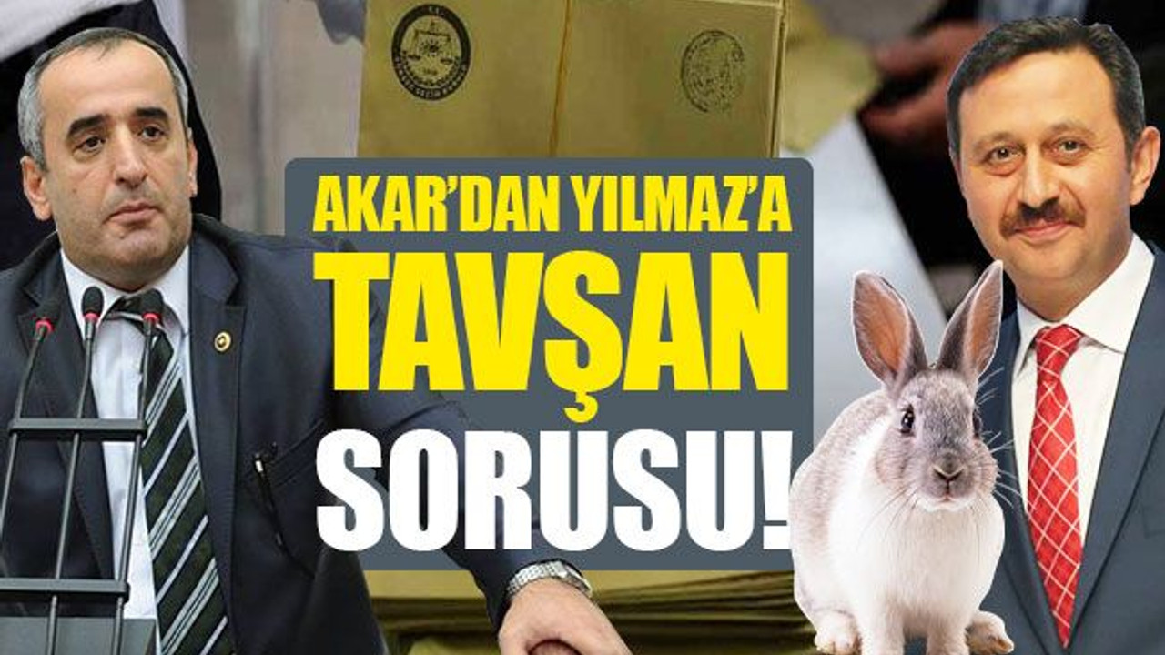 Akar’dan Yılmaz’a ‘tavşan’ sorusu!