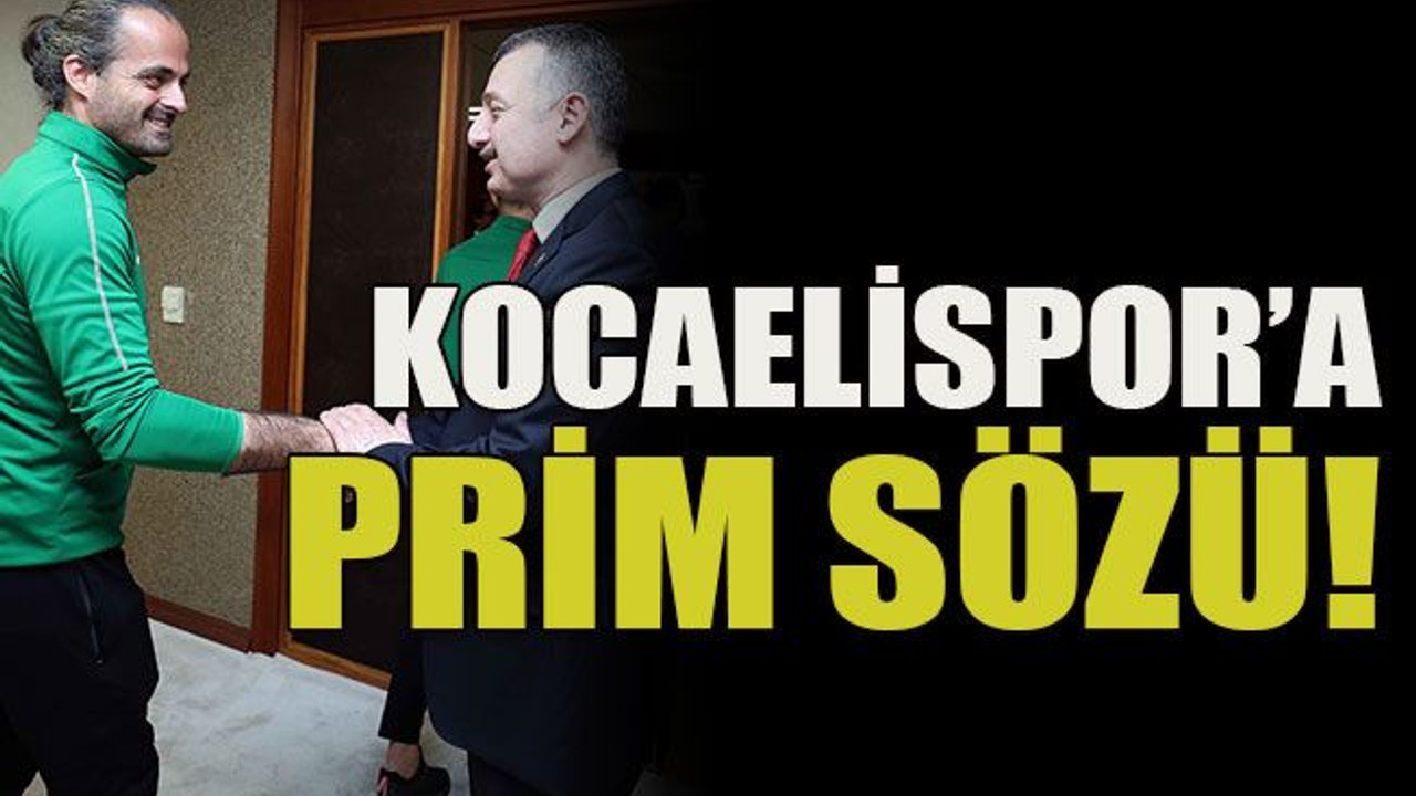 Kocaelispor’a prim sözü!