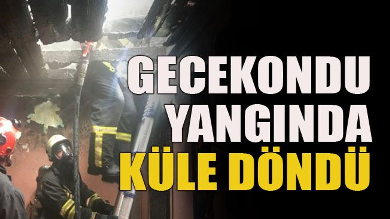 Gecekondu yangında küle döndü