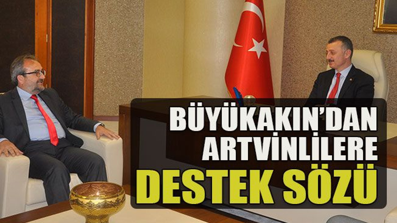 Büyükakın’dan Artvinlilere destek sözü