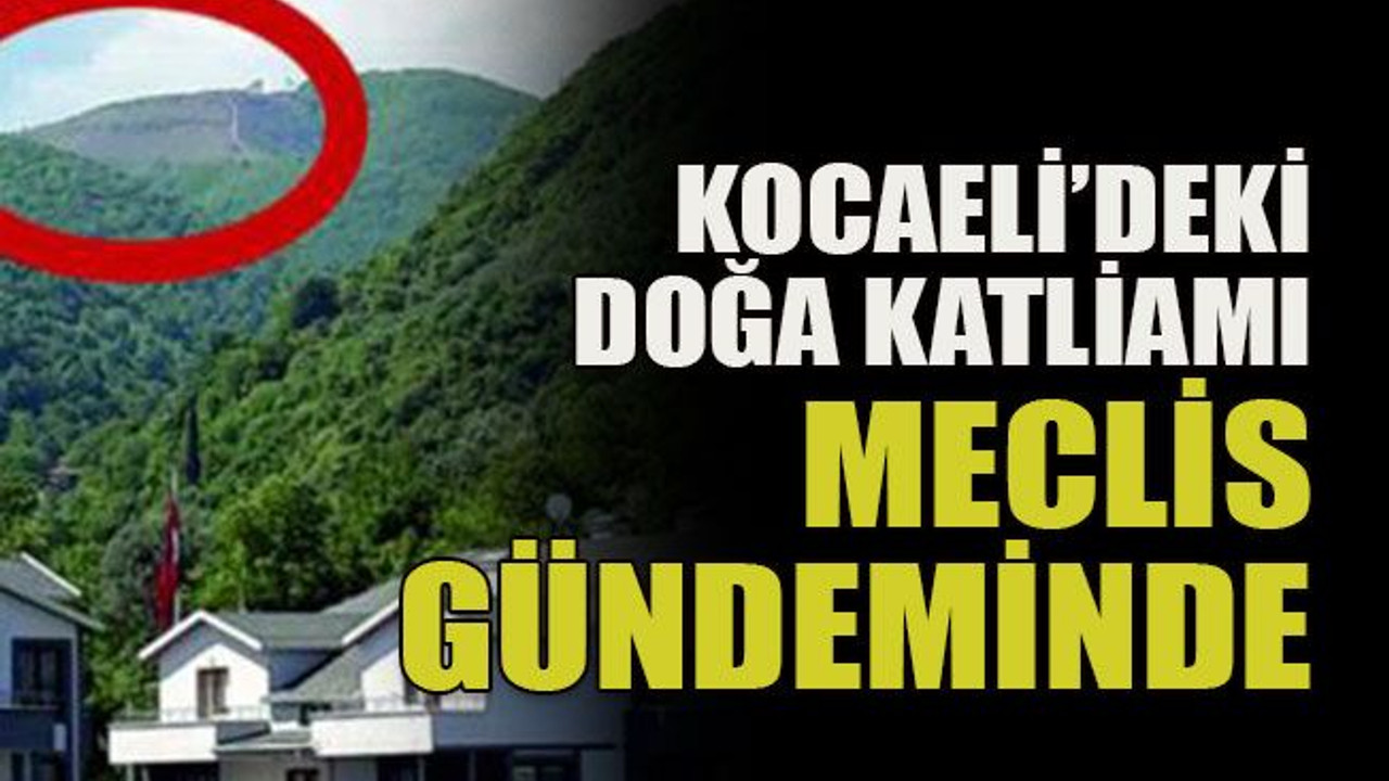 Kocaeli’deki doğa katliamı Meclis gündeminde