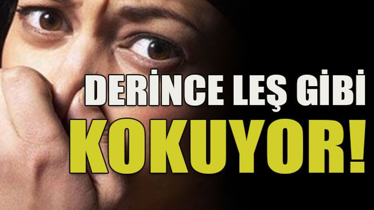 Derince leş gibi kokuyor!