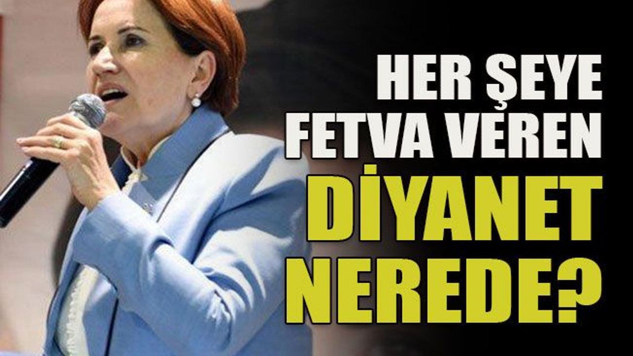 "Her şeye fetva veren Diyanet nerede?"