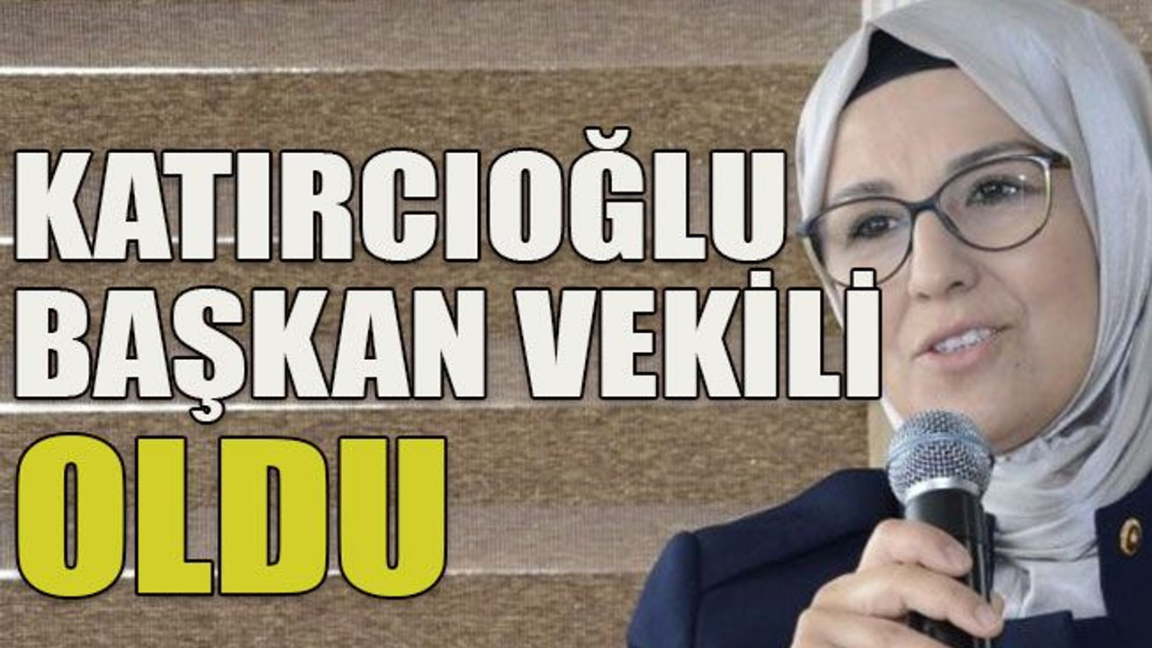 Katırcıoğlu başkan vekili oldu