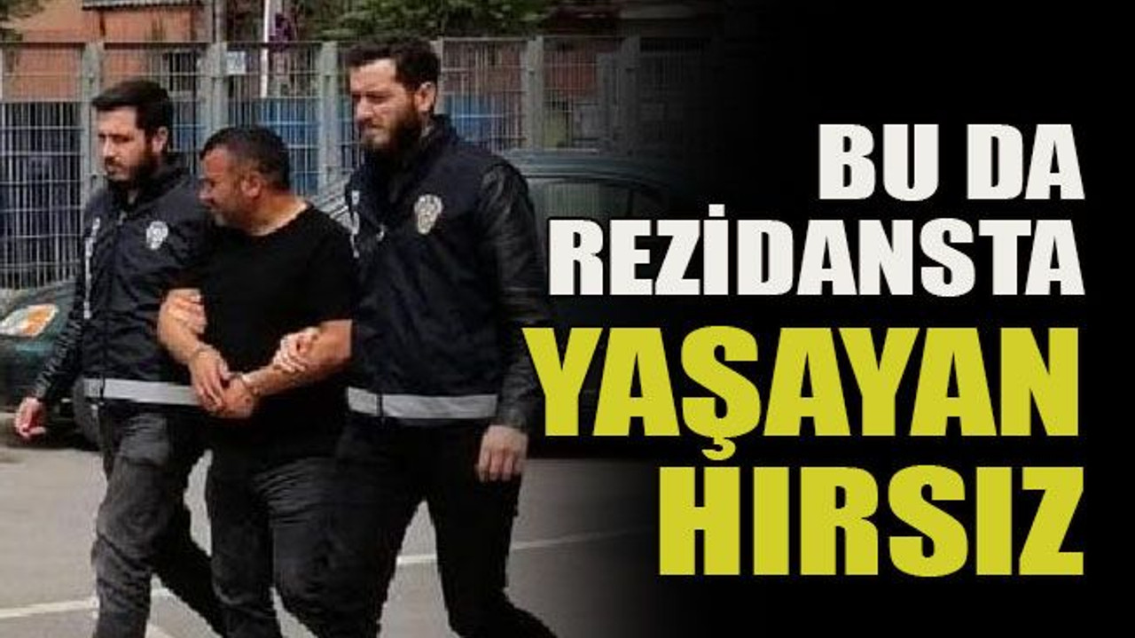 Bu da rezidansta yaşayan hırsız!