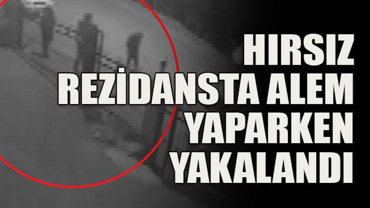 Hırsız rezidansta alem yaparken yakalandı