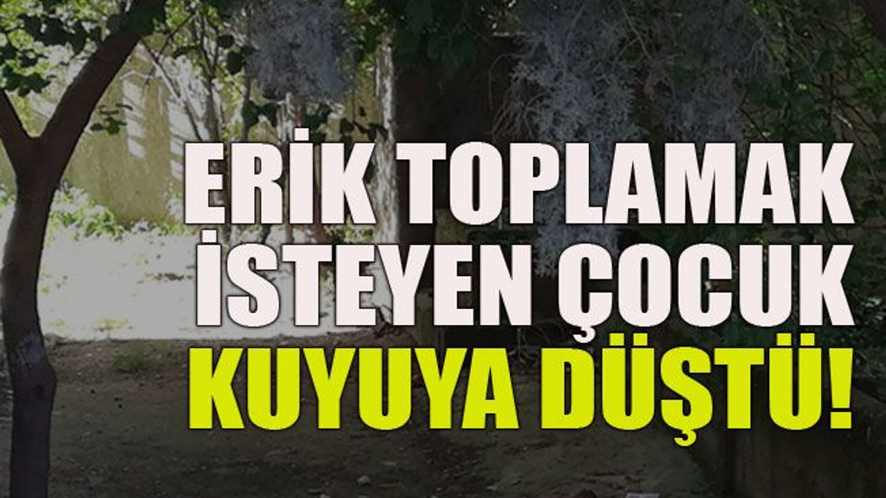 Erik toplamak isteyen çocuk kuyuya düştü!
