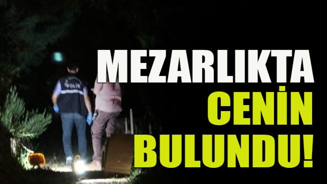 Mezarlıkta cenin bulundu!