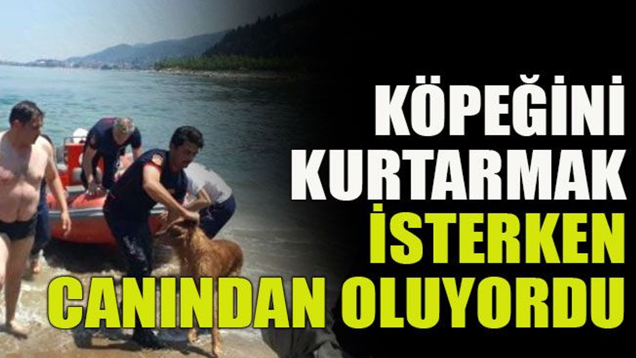 Köpeğini kurtarmak isterken canından oluyordu