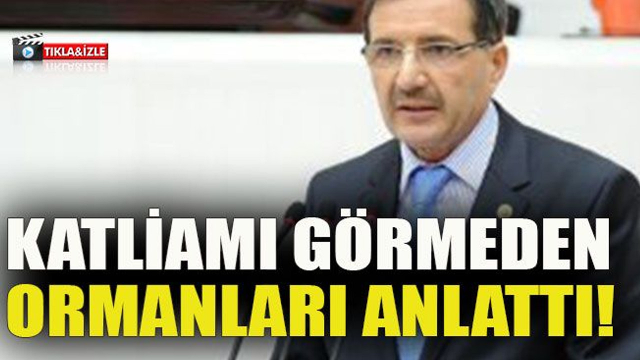 Katliamı görmeden ormanları anlattı!
