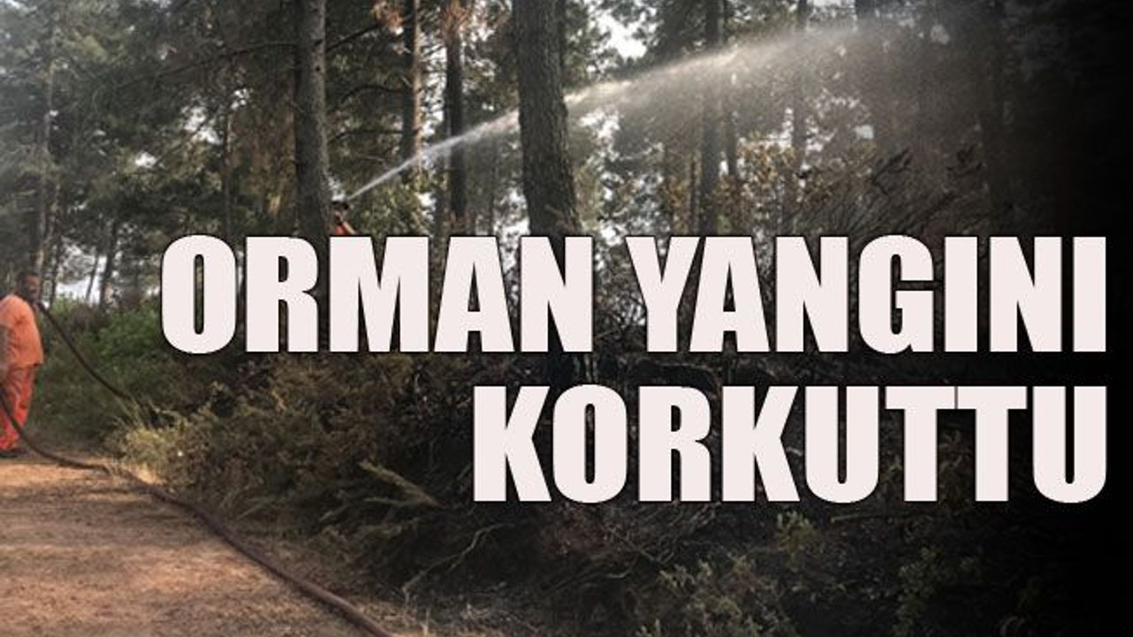 Orman yangını korkuttu