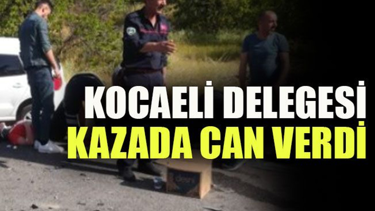 Kocaeli delegesi kazada can verdi