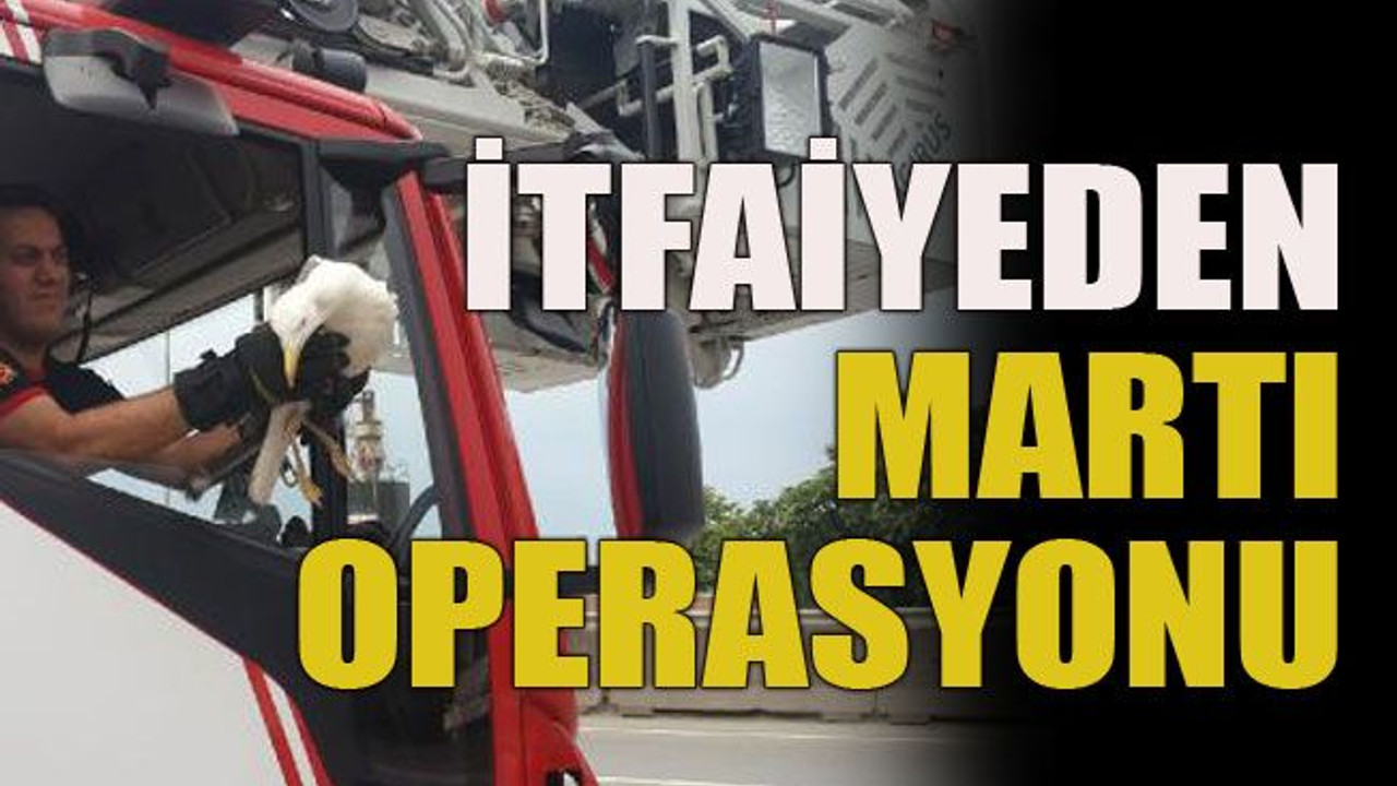 İtfaiyeden martı operasyonu